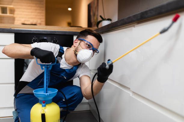 Wasp Removal Services in Boaz, WV