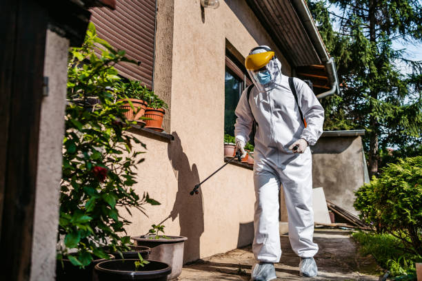 Wildlife Control Services in Boaz, WV