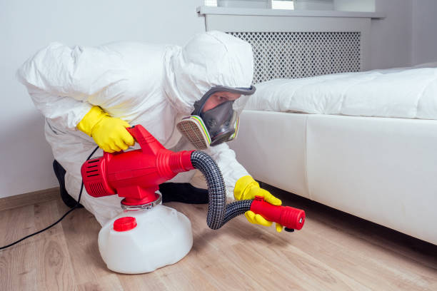 Best Pest Removal Services  in Boaz, WV
