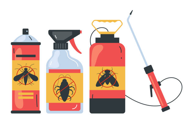 Best Pest Control Near Me  in Boaz, WV