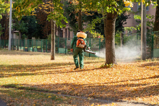 Best Pest Inspection Near Me  in Boaz, WV