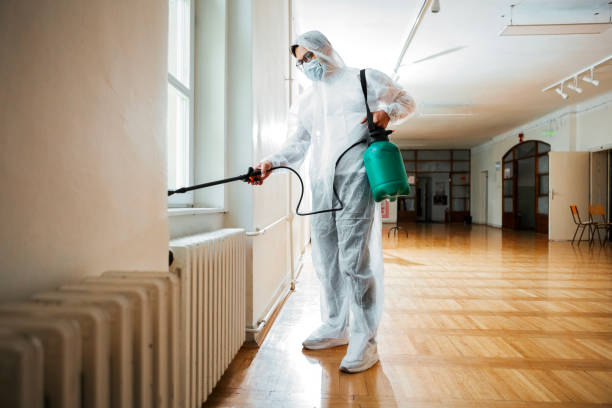 Best Pest Prevention Services  in Boaz, WV